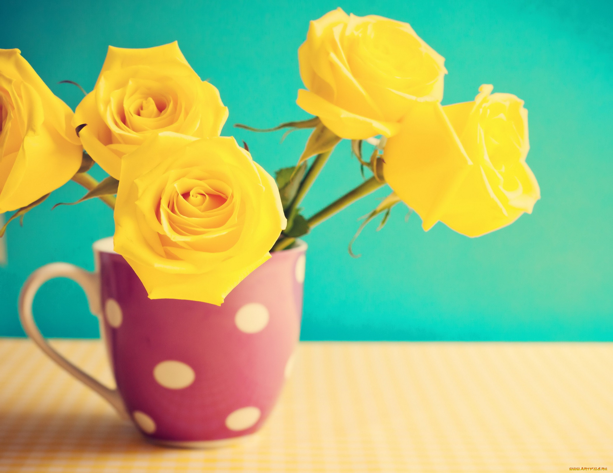 , , vintage, roses, flowers, , , 